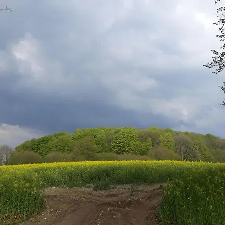 Romantic Thatched Roof House * Schnarup-Thumby