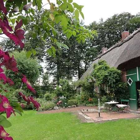 Romantic Thatched Roof House