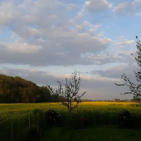 Romantic Thatched Roof House Διαμέρισμα Schnarup-Thumby