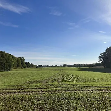 Romantic Thatched Roof House * Schnarup-Thumby