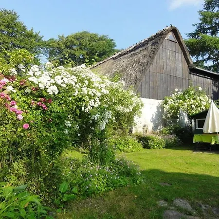 Romantic Thatched Roof House Διαμέρισμα